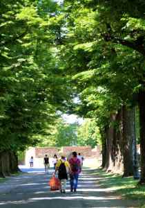 wandering the Lucca wall